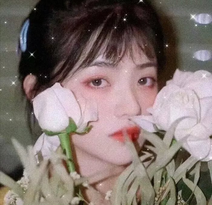 人生马戏团粤语